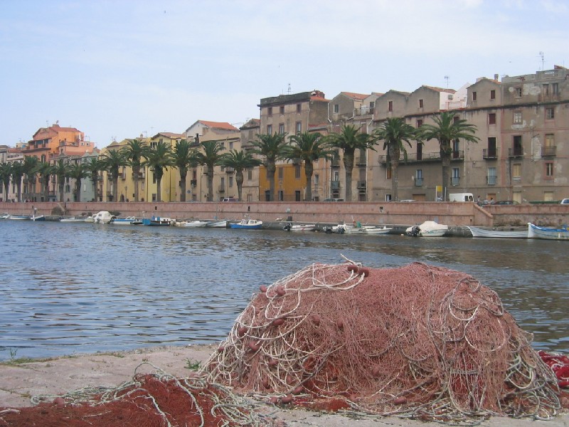 Bosa
